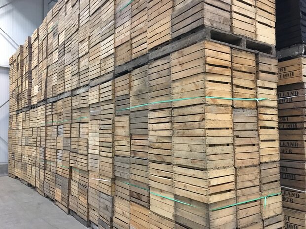 Pallet Fruitkisten blanco   