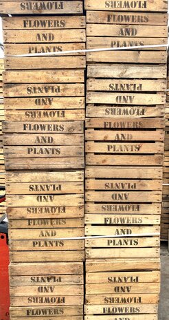 Pallet Flowers and Plants Fruitkisten 