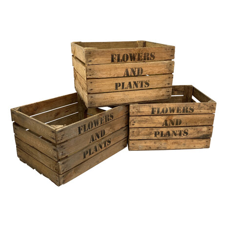 Pallet Flowers and Plants Fruitkisten 