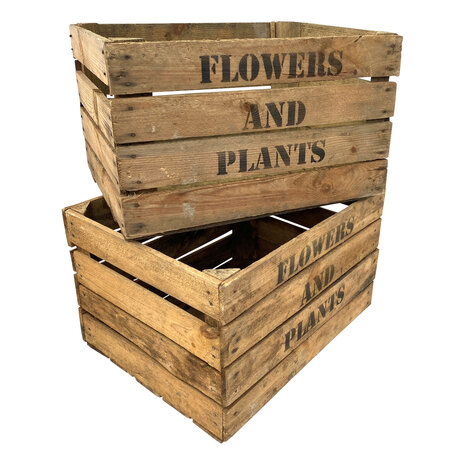 Pallet Flowers and Plants Fruitkisten 