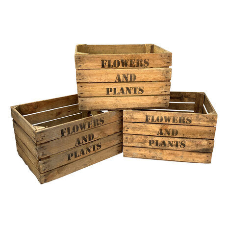 Pallet Flowers and Plants Fruitkisten 