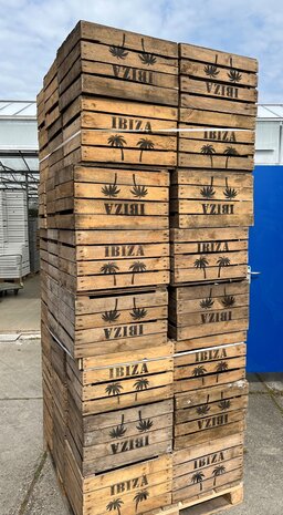 Pallet IBIZA Fruitkisten 