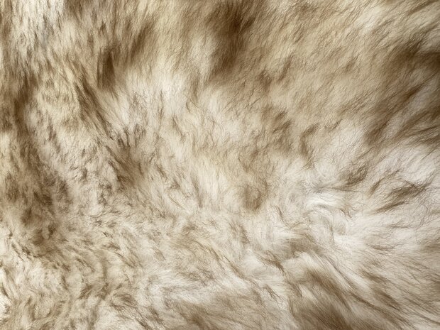 Mouflon Schapenvacht WitBruin XL 