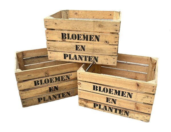 Fruitkist Bloemen en Planten