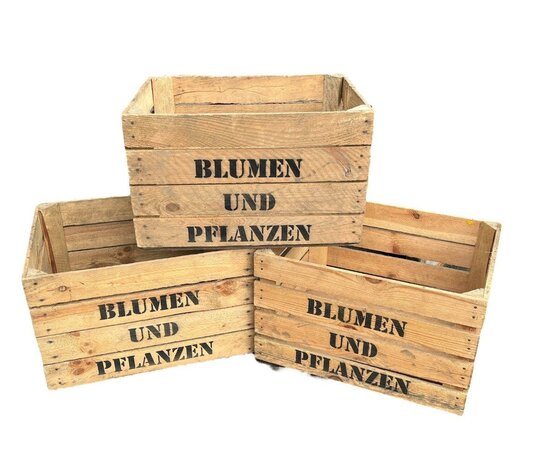 Fruitkist  - Blumen und Planzen