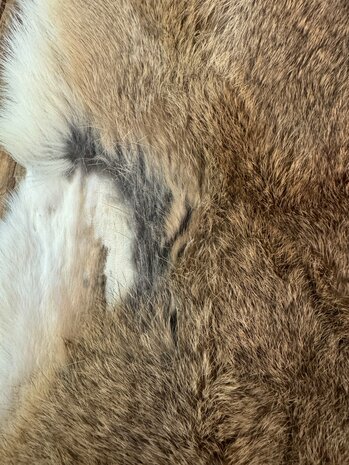 Konijnenvacht Natural ass  2e keus