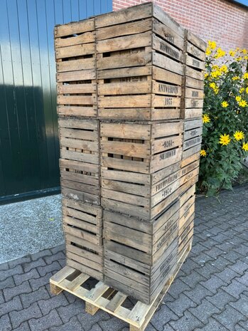  Ruige  Fruitkist opdruk assorti