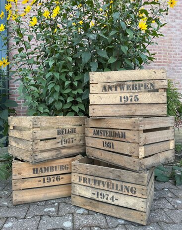  Ruige  Fruitkist opdruk assorti
