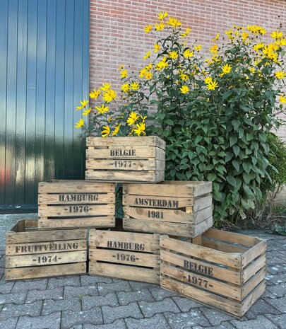  Ruige  Fruitkist opdruk assorti