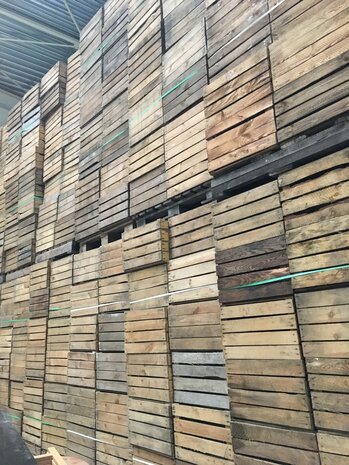 Pallet Fruitkisten blanco   