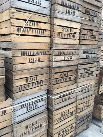 Pallet Holland 1978 Fruitkisten 