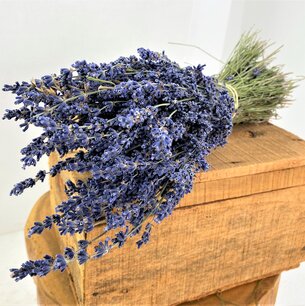 Bosje gedroogde Lavendel XL 120 gram Bosje gedroogde Lavendel XL 120 gram