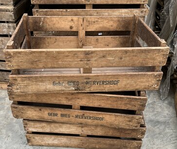 Hollandse tulpen plukkrat 75x51x26 "Breg - Wervershoof" Hollandse tulpen plukkrat 75x51x26 "Breg - Wervershoof"